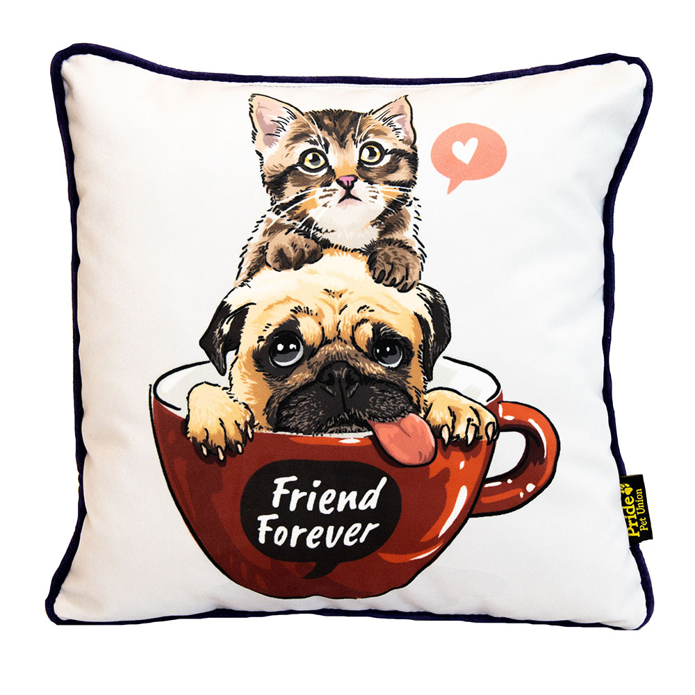 ПР0054083 Подушка декоративная "Дружба навсегда" Pride 