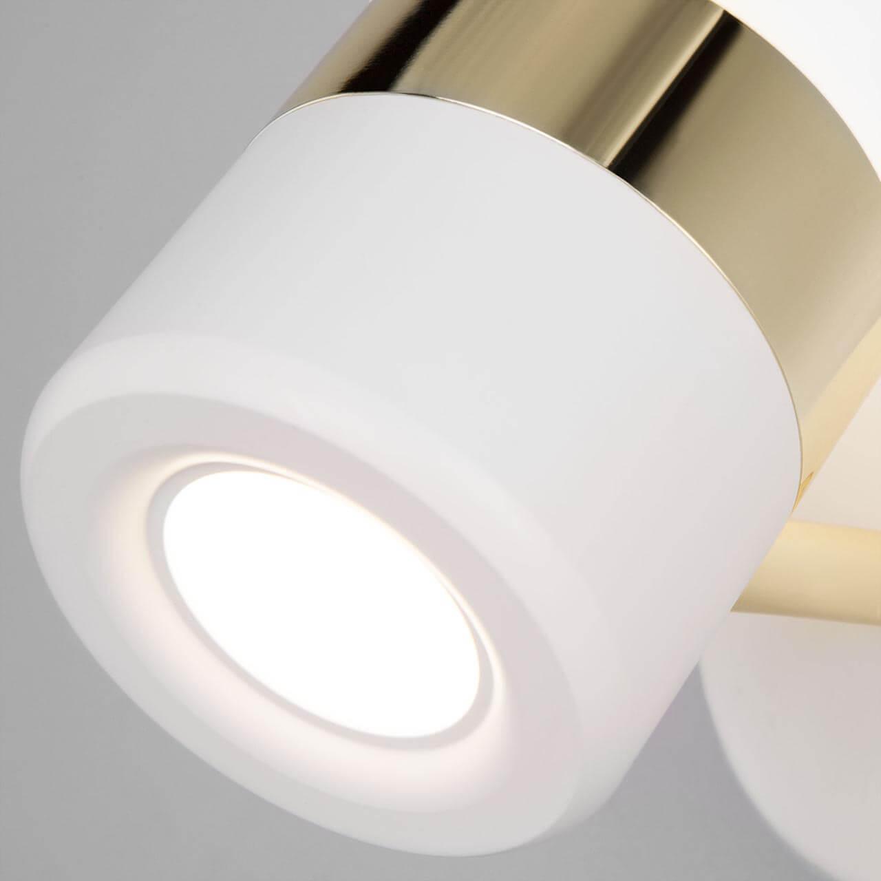 Спот потолочный светодиодный золото с белым Oskar 20165/1 LED EUROSVET OSKAR 00-3925905 Белый;золото  - Вид №3