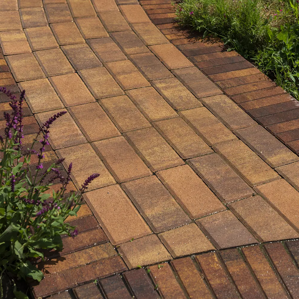 Тротуарная плитка BRAER Прямоугольник 200x100 мм - Природная эстетика для садовых дорожек 82770034 STLM-0035754 - Вид №7
