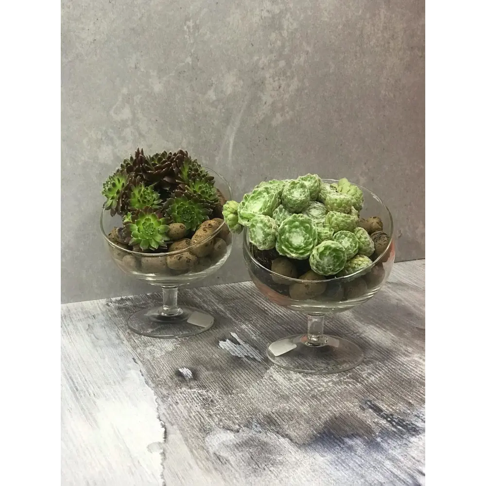 Ваза Santreyd «Анабель» — стеклянный шар для креативного декора 82223425 STLM-0022304 - Вид №3