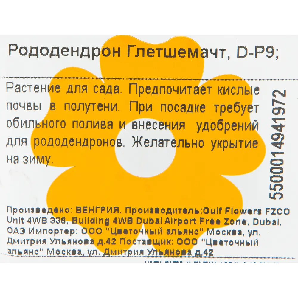 Рододендрон гибридный «Глетшемачт» 9x20 см 82601868 STLM-2041974 Santreyd  - Вид №1