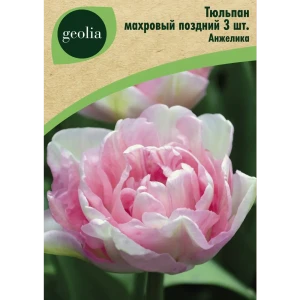 Тюльпан махровый поздний Анжелика 3 шт. 88663315 STLM-2072691