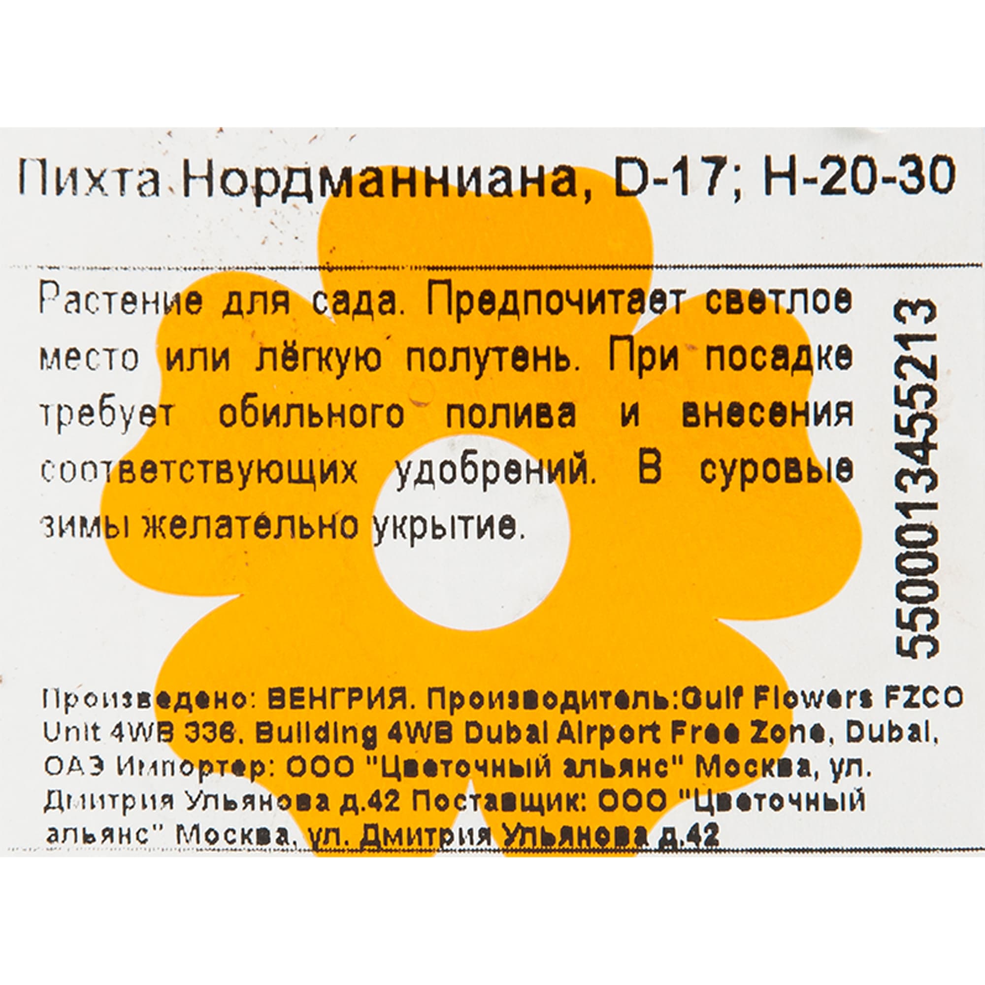 82176401 Пихта «Нордманниана» 2-3 л 20-30 см Santreyd  - Вид №1