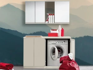 Birex Лаковая прачечная с раковиной Idrobox