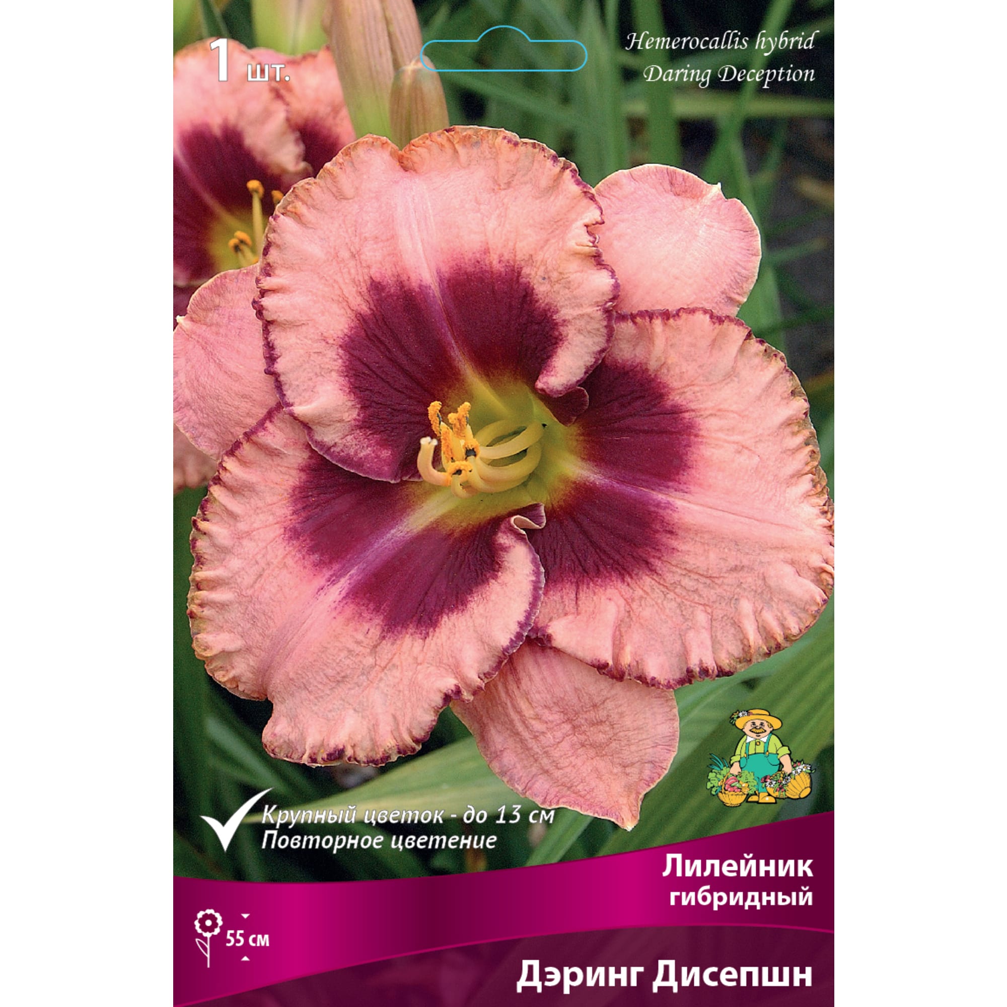 88294949 Лилейник гибридный Дэринг дисепшн луковица I Santreyd 