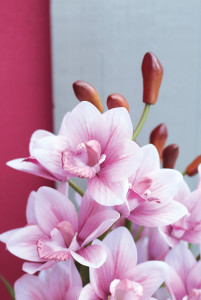 2959 705 a3 Пластиковая орхидея цимбидиум, горшечная, 82 см, real touch, бело-розовая H-andreas