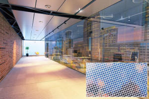 FSRT365 Перегородка из стекла vivispectra vektr с индивидуальной прослойкой в ​​стандартной отделке Forms-surfaces