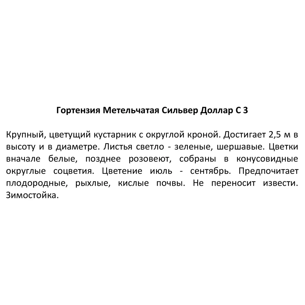 Гортензия метельчатая Силвэ Доллар ø14 h100 см 85324886 STLM-2188948 Santreyd  - Вид №3