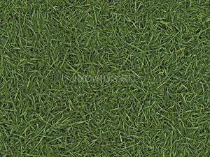 Линолеум бытовой SMART NEO - СМАРТ НЕО i457820