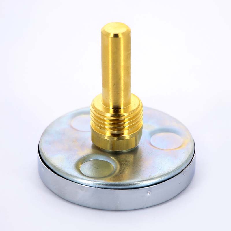 Термометр биметаллический F+R801 63 мм 120° WATTS с погружной гильзой 50 мм 10005800 - Вид №1