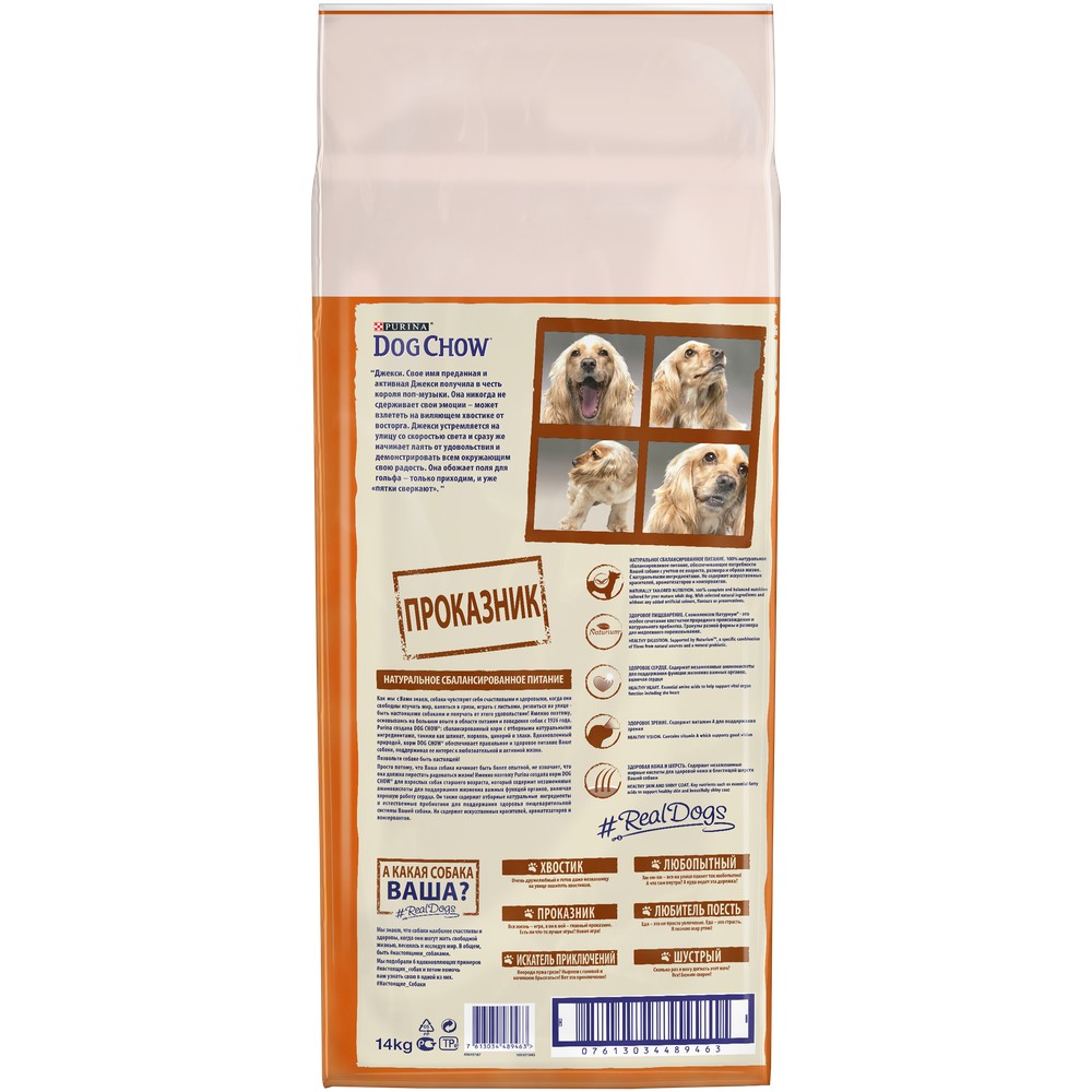 ПР0059681 Корм для собак старше 5 лет, курица сух. 14кг Dog Chow  - Вид №1