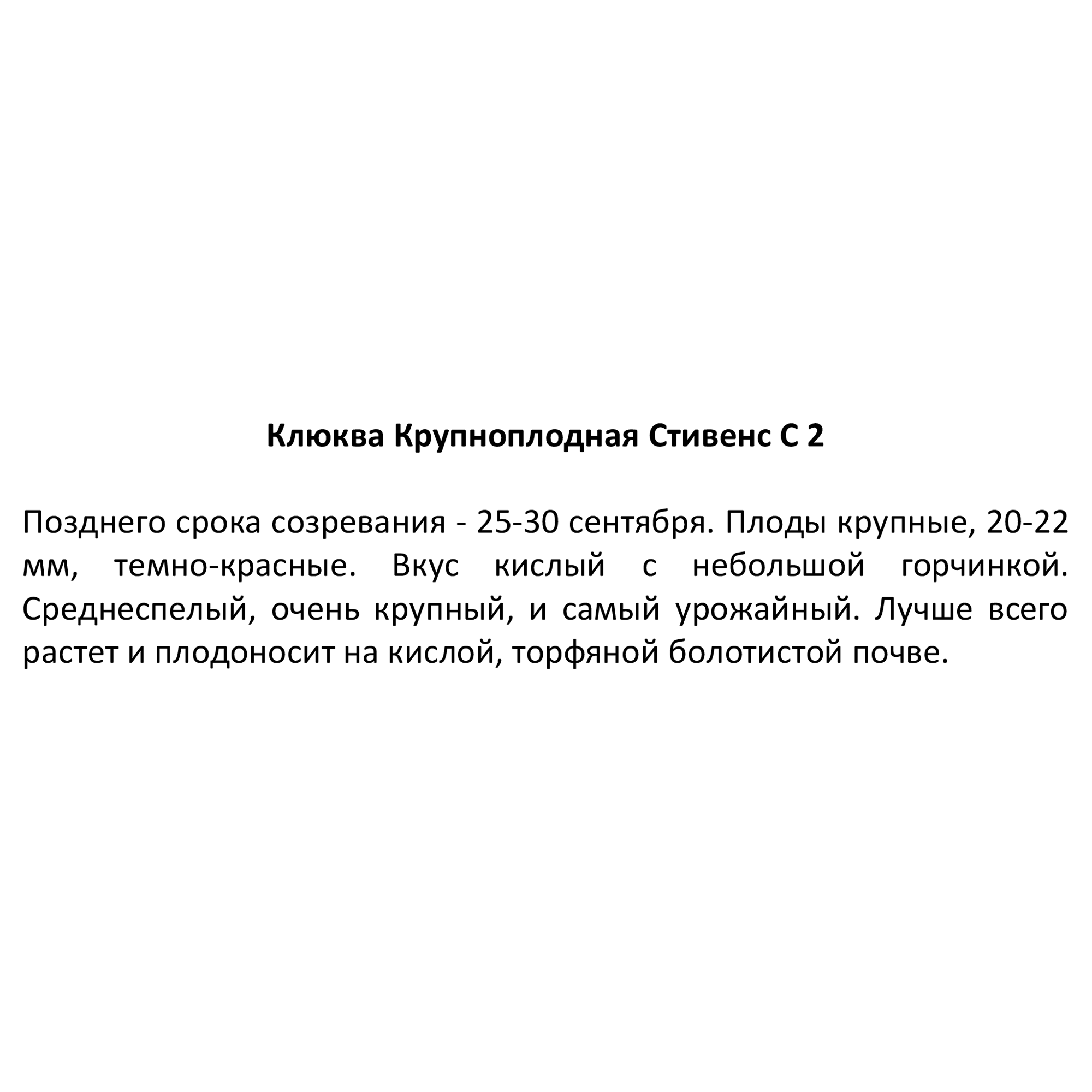 Клюква Стивенс Santreyd — морозостойкий саженец с обильным урожаем 85325517 STLM-0061610 - Вид №3