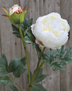 2345 778 a3 Пион шелковый, 1 цветок, 1 бутон, 78 см, бежево-белый H-andreas