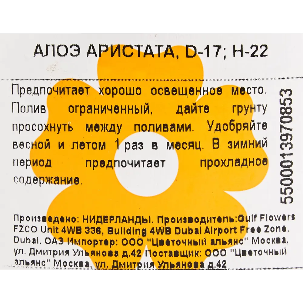 Алоэ Аристата 17x22 см 82850437 STLM-2180830 Santreyd  - Вид №2