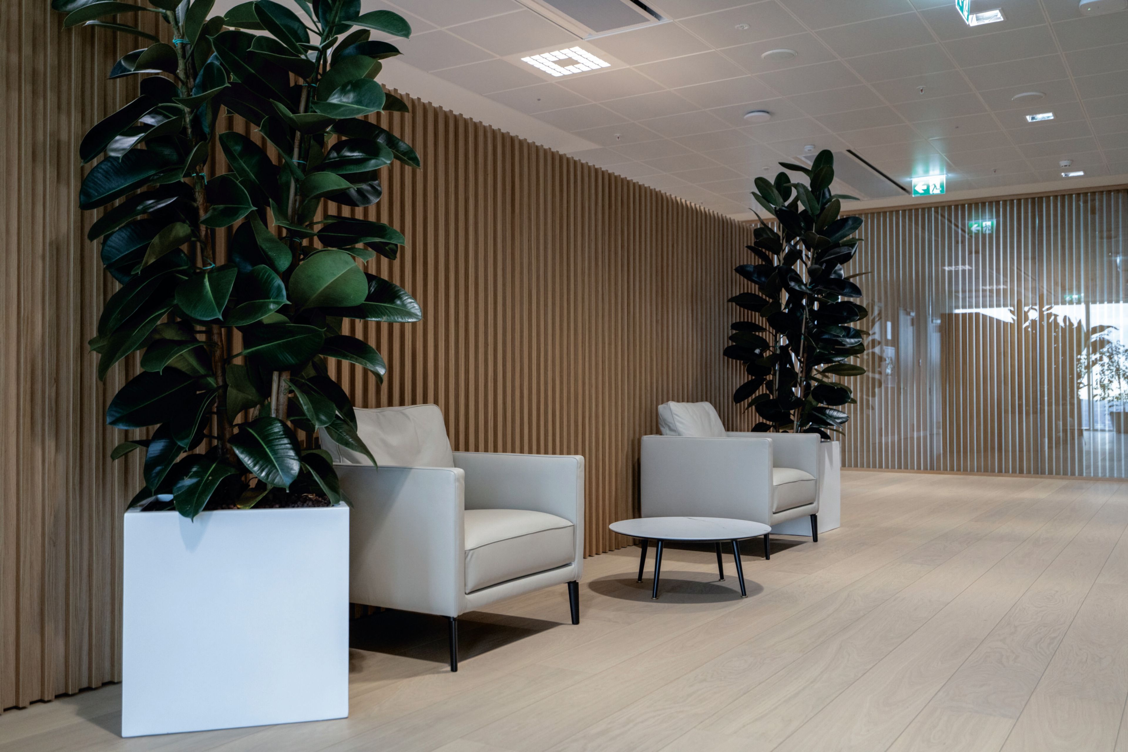 Тканевое кресло с подлокотниками ESTEL GROUP Raffaello ARCH-00001312 - Вид №1