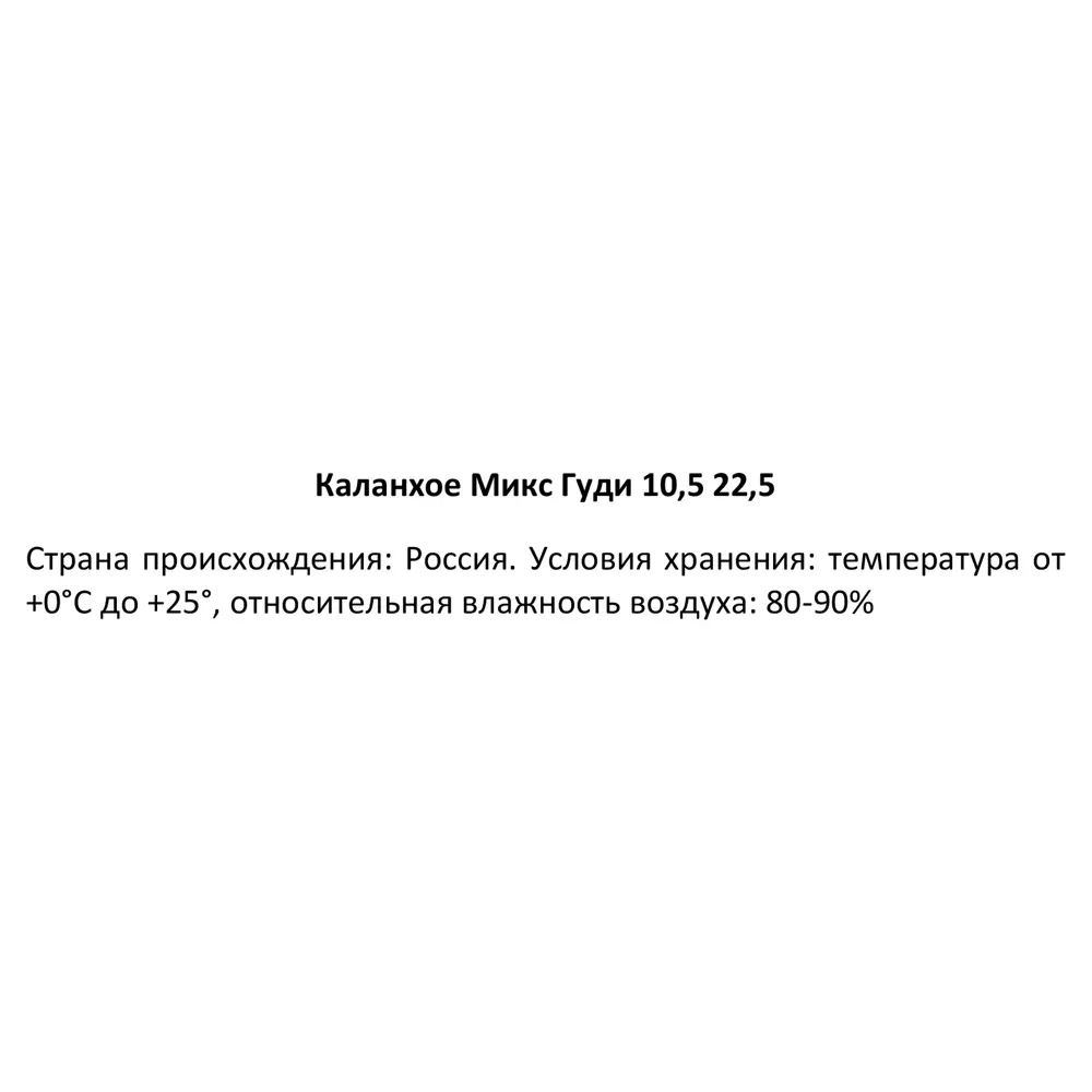 Santreyd Каланхоэ Гуди микс - цветущий суккулент для дома 89352855 STLM-0956415 - Вид №6