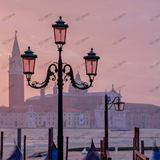 C1-284 Фотообои DIVINO Collection C 2.7х1 м C1284