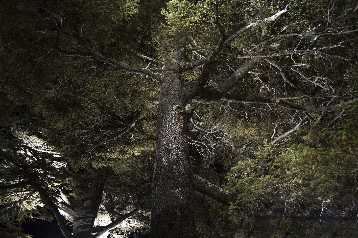 8322501 Проектор Platek SPRING Proiettore  SPRING Floodlight - 24 LED RGBW 9°  - Вид №3