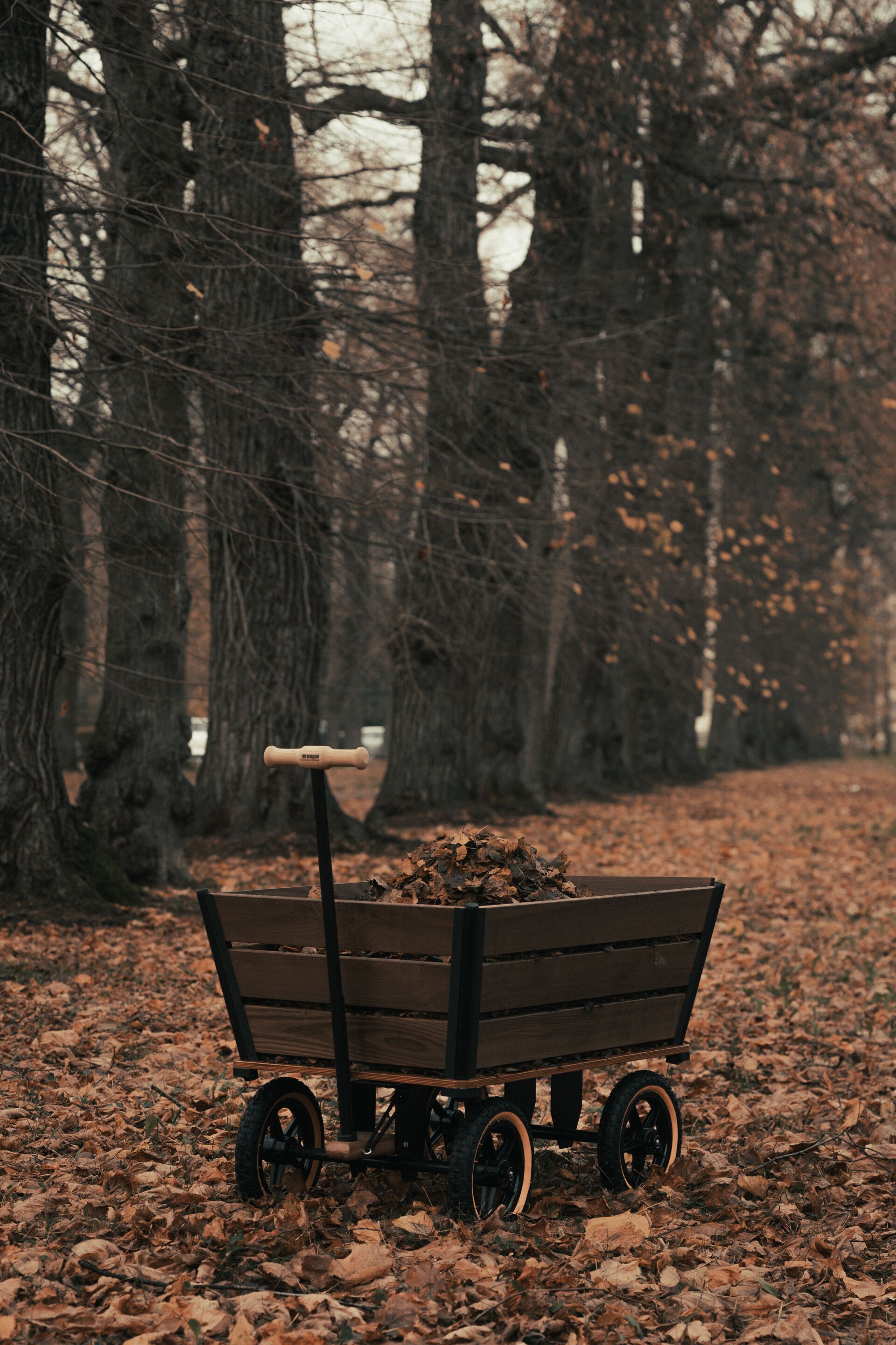 Садовая тележка TRADEWINDS THE PLANK WAGON ARCH-00043245 - Вид №25