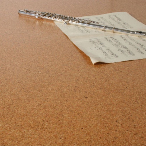 Пробка Corkart Lite Cm3 209v Nn (Гладкая) 900х300 мм 2101400001 - Вид №1