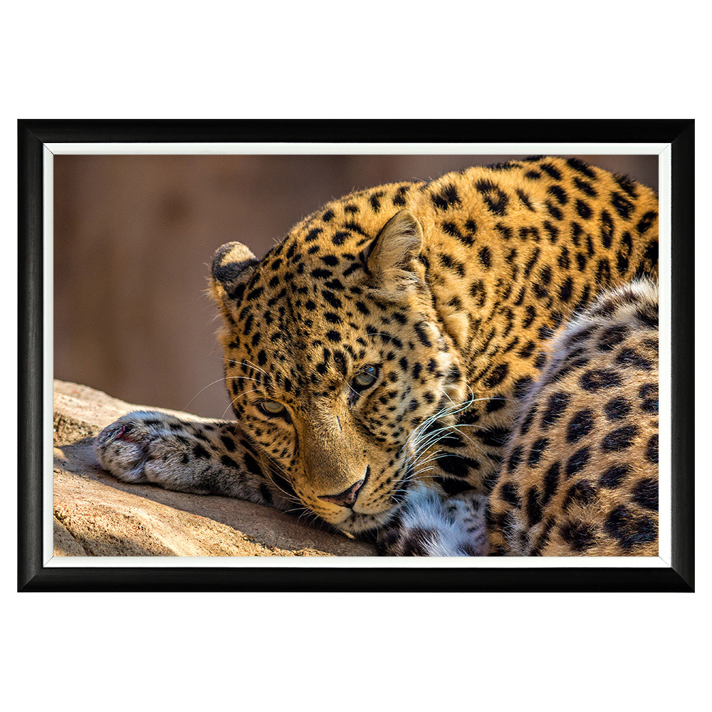 896523228_1818 Арт-постер «Экзотика» Object Desire 