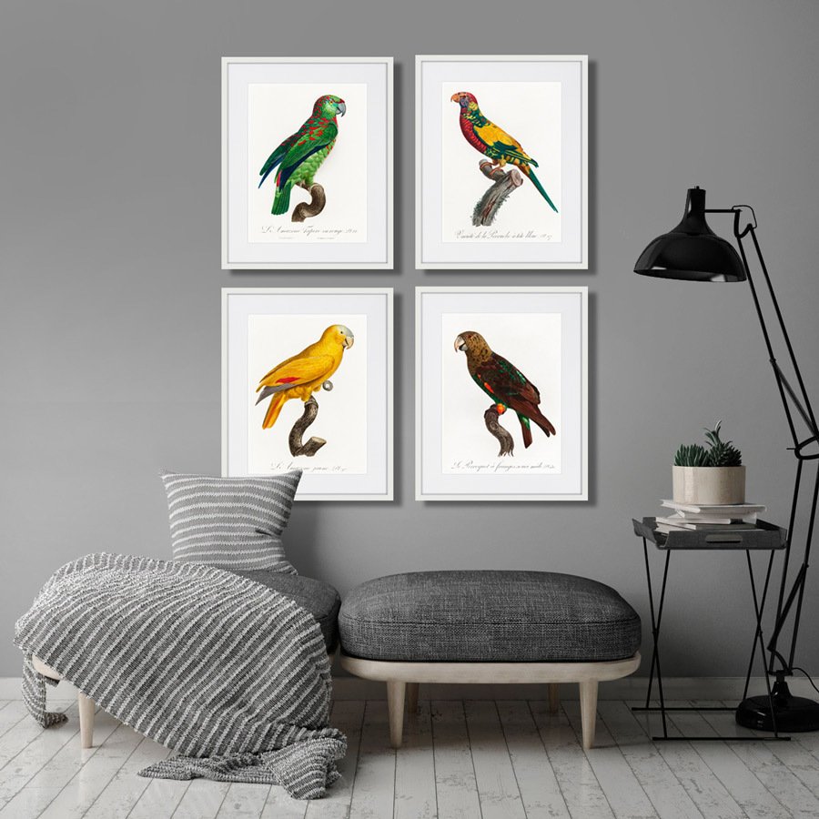 Литография на тонированной бумаге 42х52 см Beautiful parrots №3, 1872г. КАРТИНЫ В КВАРТИРУ  264293 Белый;черный;разноцветный  - Вид №2