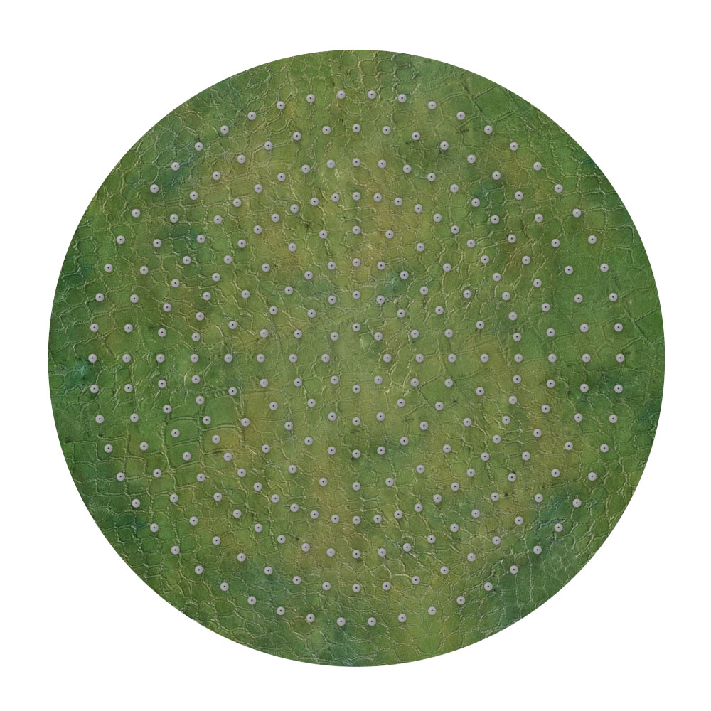 Graffio Круглая душевая лейка Ø 400 мм. SK004  - Вид №1