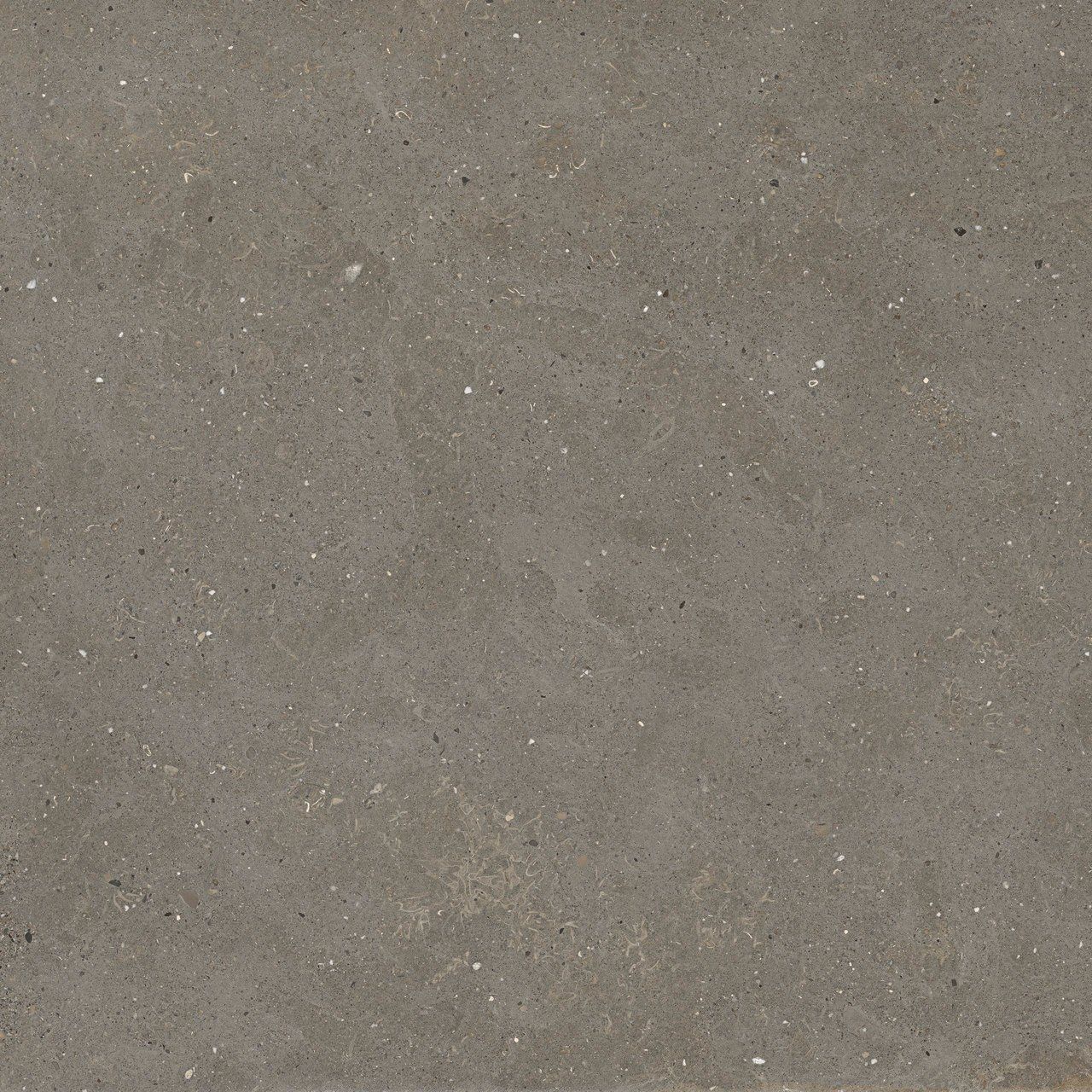 Пол / облицовка керамогранита с эффектом камня Fiandre сплошная ARCH-00087079 - Вид №24