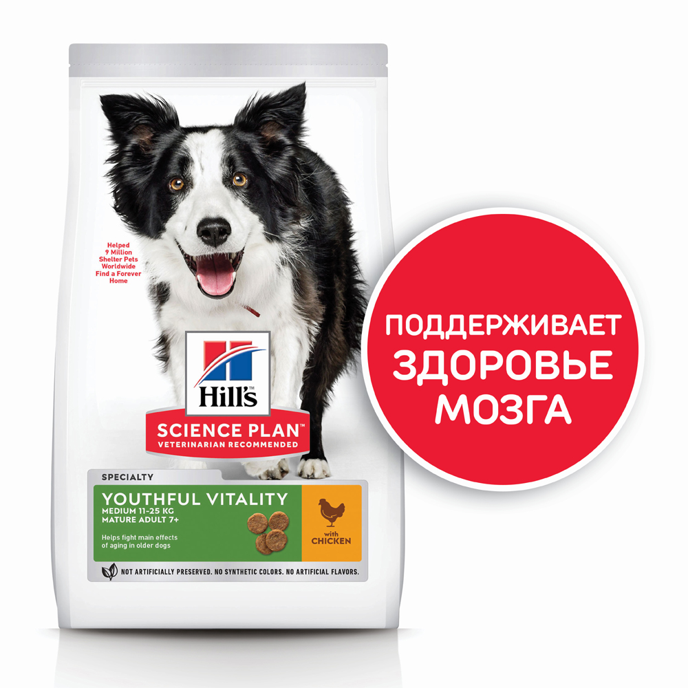 ПР0042535 Корм для собак Hill"s Youthful Vitality для пожилых собак средних пород, Курица Hill's  - Вид №1