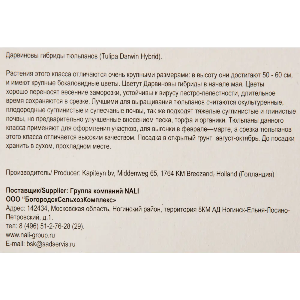 Тюльпан «Oxford» размер луковицы 10/11, 3 шт. 82365329 STLM-2198765 Santreyd  - Вид №2