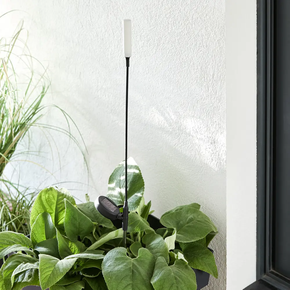 INSPIRE Садовая подсветка с эффектом колебания на солнечной батарее 89108448 STLM-1579304 - Вид №1