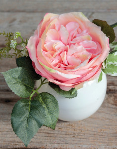 4219 553 a3 Ложная роза в керамическом горшке, 17 см, абрикос H-andreas