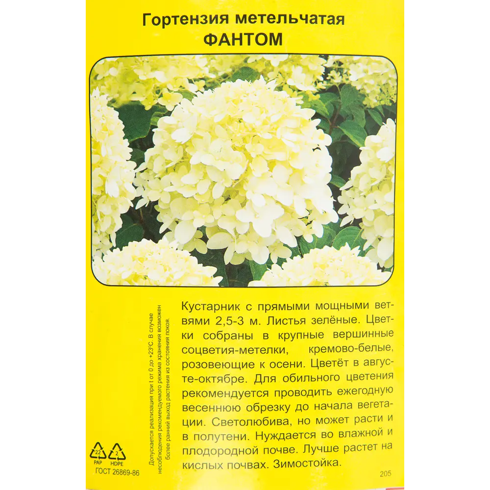 Гортензия метельчатая Фантом h40 см 83786892 STLM-2114242 Santreyd 