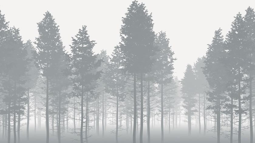 Komar Флизелиновые обои с пейзажами Home X7-1021 - Вид №1