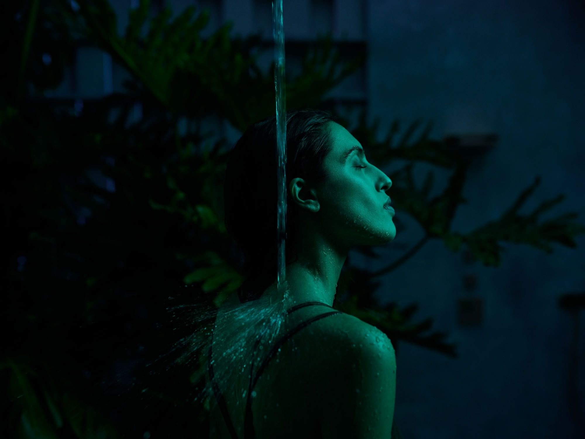 Прямоугольная душевая головка DornBracht SERENITY SKY ARCH-00146127 - Вид №18