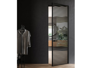 Стеклянная распашная дверь