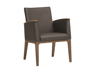 Кожаное кресло с подлокотниками