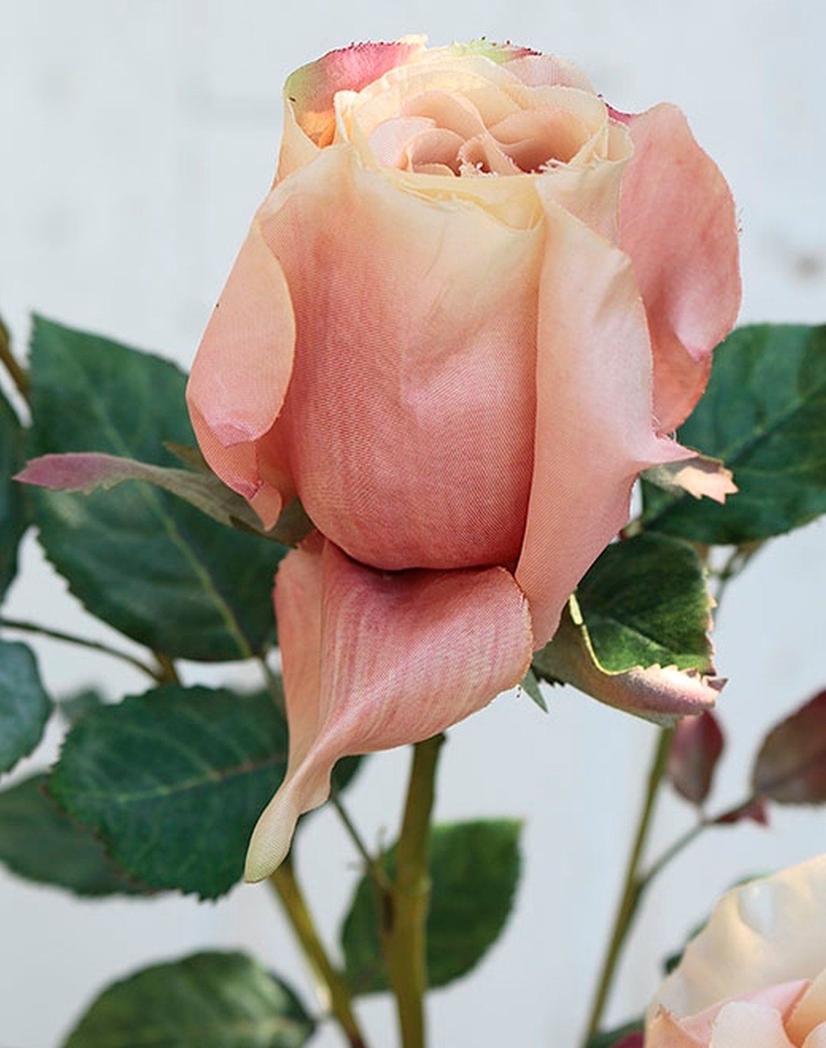 2543 553 a2 Шелковая роза, 1 цветок, 2 бутона, 110 см, абрикос H-andreas  - Вид №3