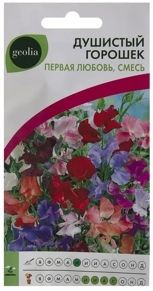 GEOLIA Душистый горошек Первая любовь - вьющееся украшение сада 17585623