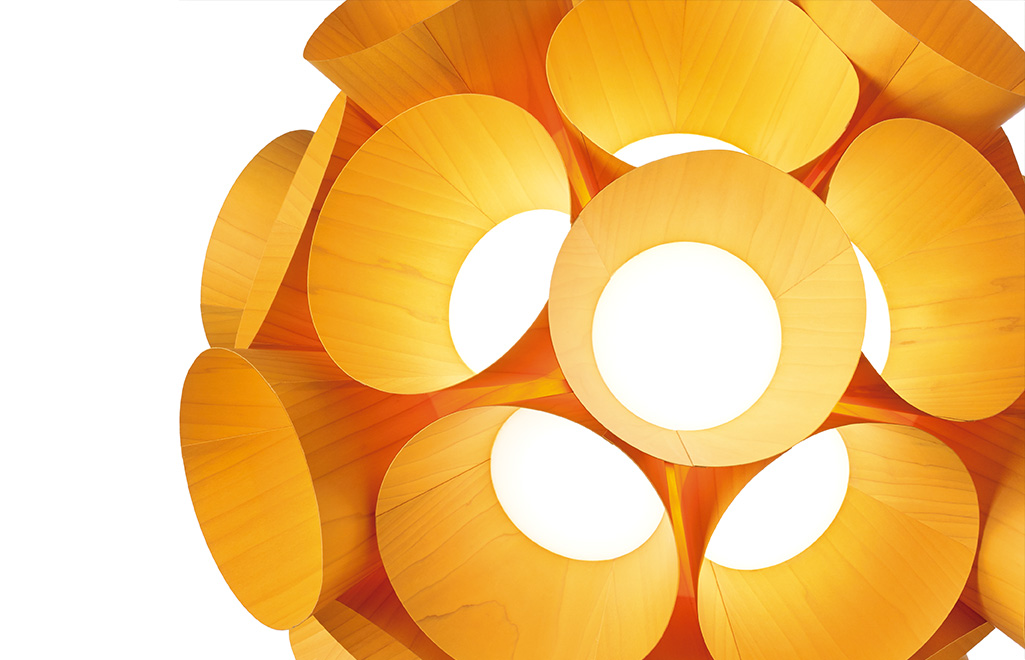 005895 Подвесной светильник LZF Dandelion Santreyd - Вид №6