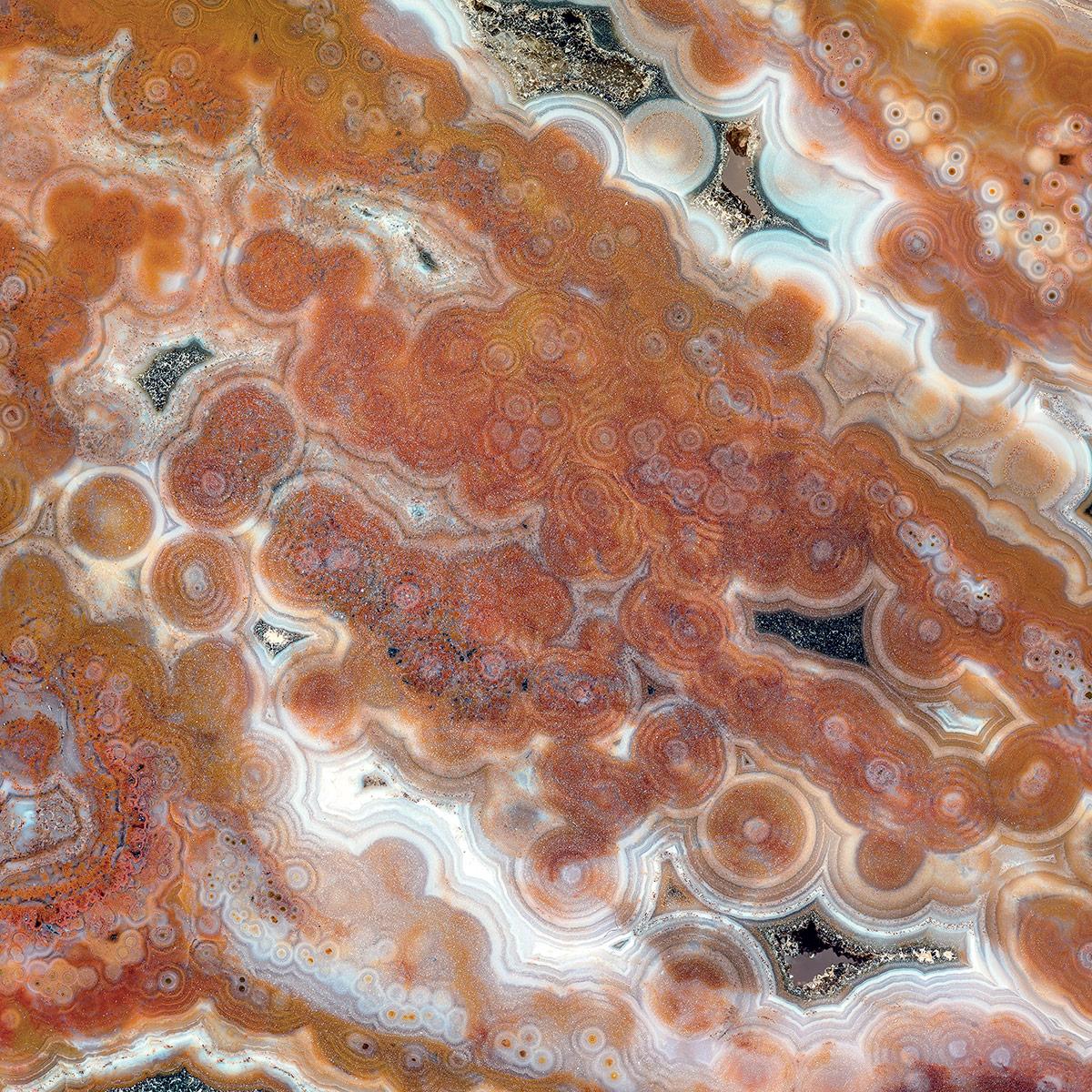 SICIS Rhino Orange Vetrite sun-id-1991220 - Вид №4