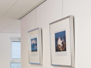 Алюминиевая потолочная витрина