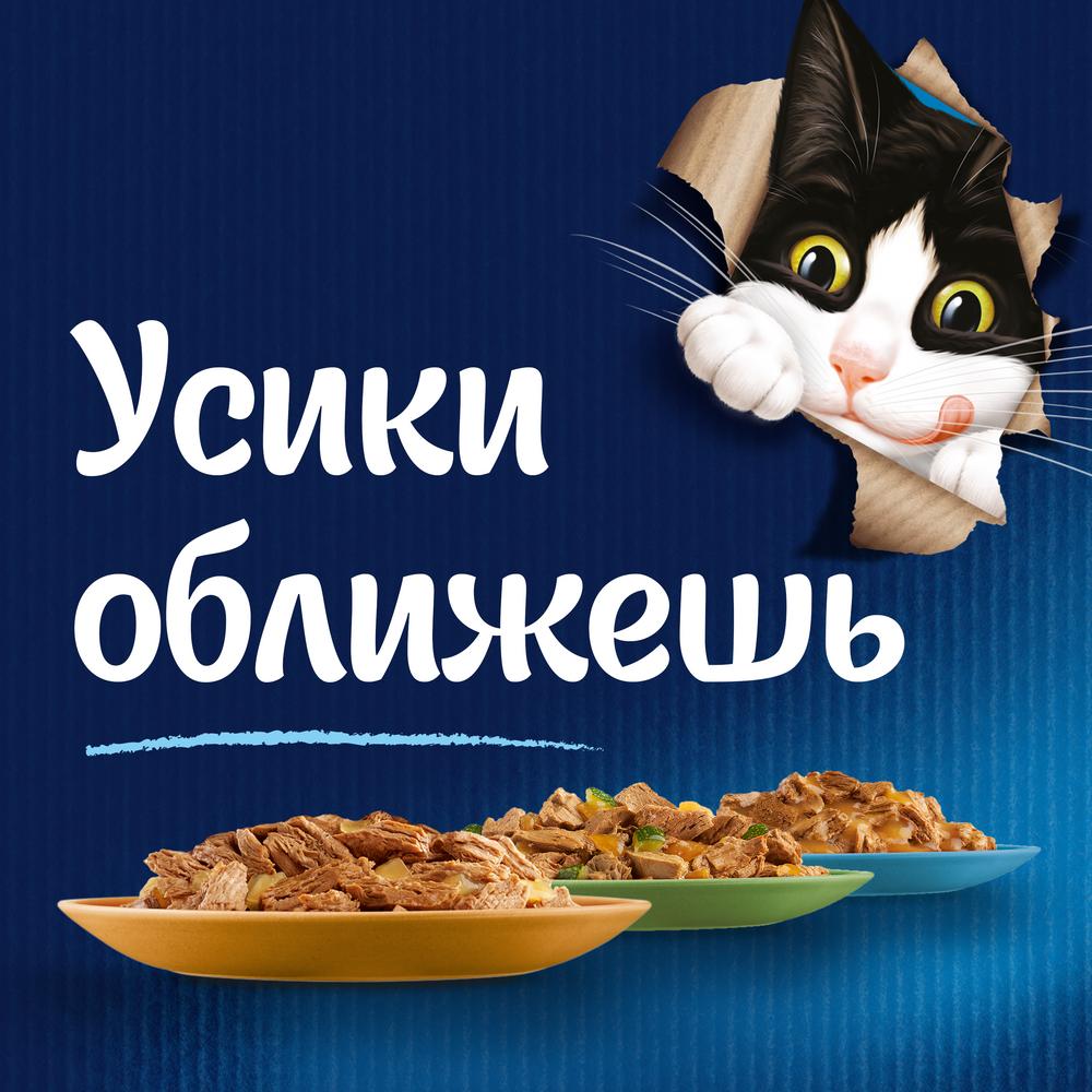 ПР0036733 Корм для кошек Аппетитные кусочки. Двойная вкуснятина с индейкой и печенью, в желе, пауч 85 г FELIX  - Вид №2