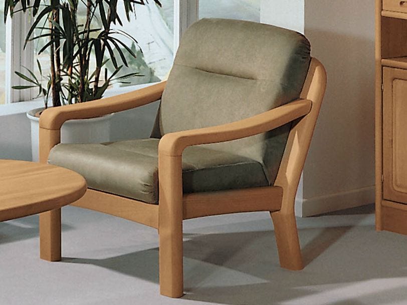 Кресло с подлокотниками Dyrlund 1230 ARCH-00068079 - Вид №1