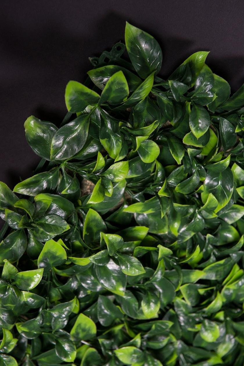 VGnewtrend Овощной каркас Vertical garden 1142347.60  - Вид №2