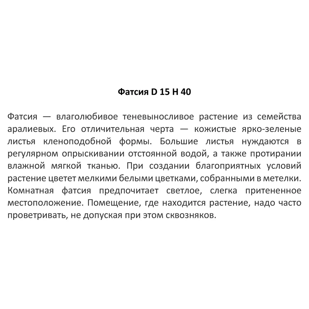 Santreyd Фатсия — изумрудная крона для интерьера 11945640 STLM-0954226 - Вид №2