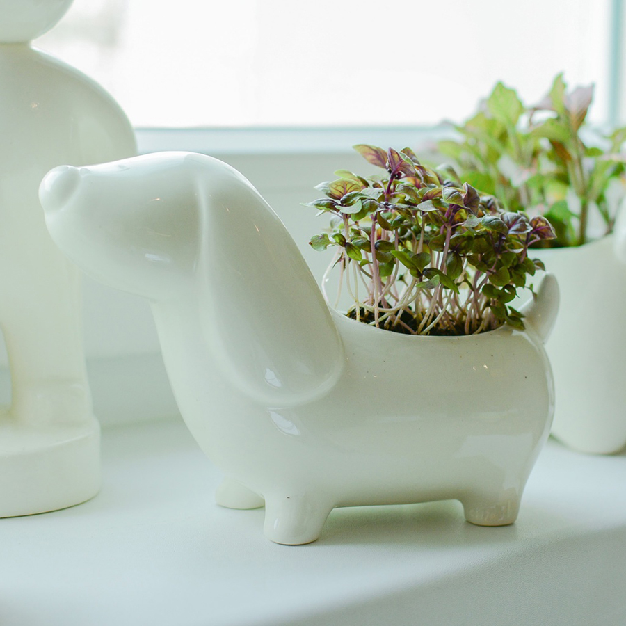 Набор для выращивания eco "Собачка" ЭКОЧЕЛОВЕКИ  254610 Белый  - Вид №2