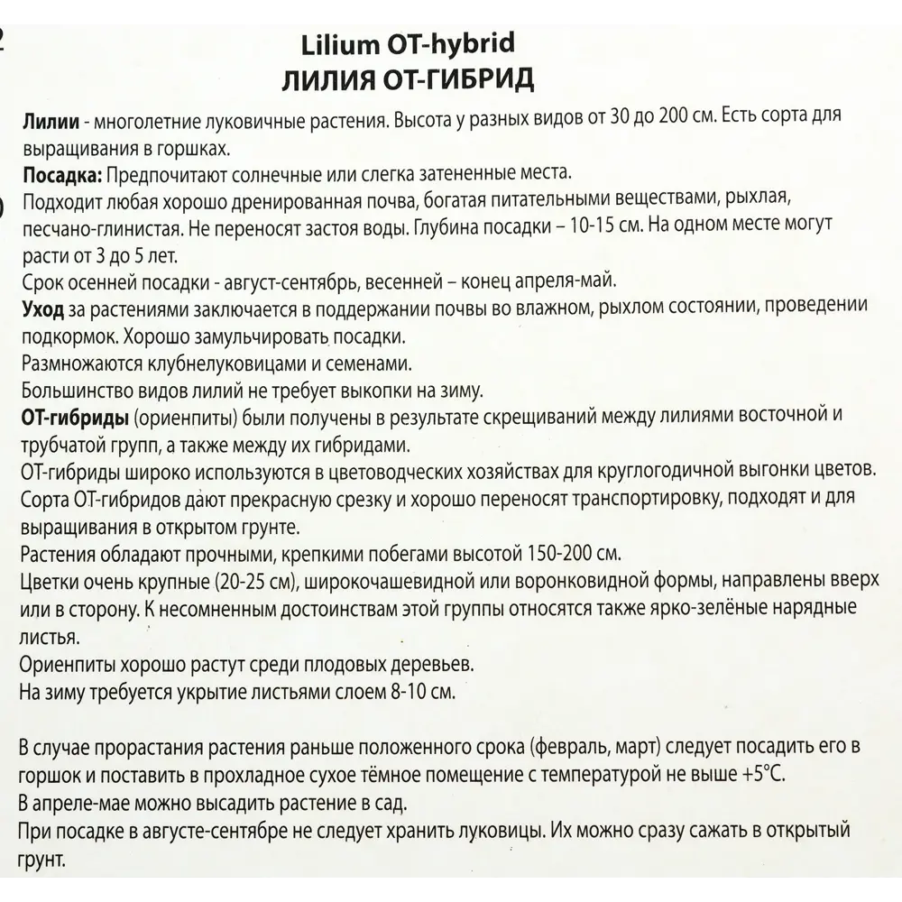 Лилия Барута Santreyd - луковица ОТ-гибрида с лимонно-желтыми цветами 82118707 STLM-0962812 - Вид №2