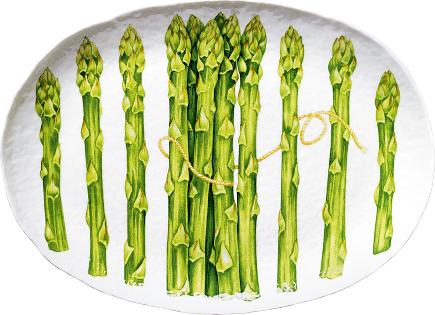 10640794 Taitu Блюдо овальное Taitu "Средиземноморская диета. Спаржа" 22х31см Фарфор 