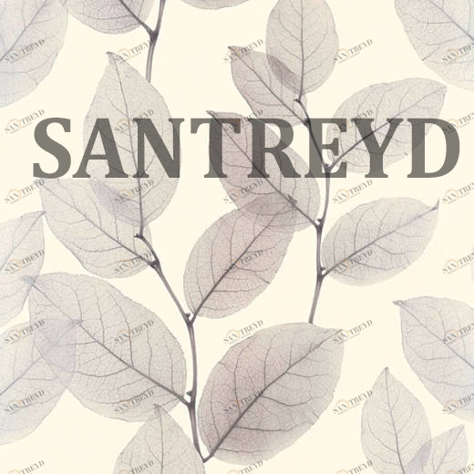 34247-2 Обои A.S. Creation X-Ray 342472